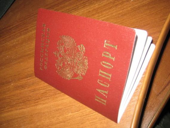 прописка в Петушках